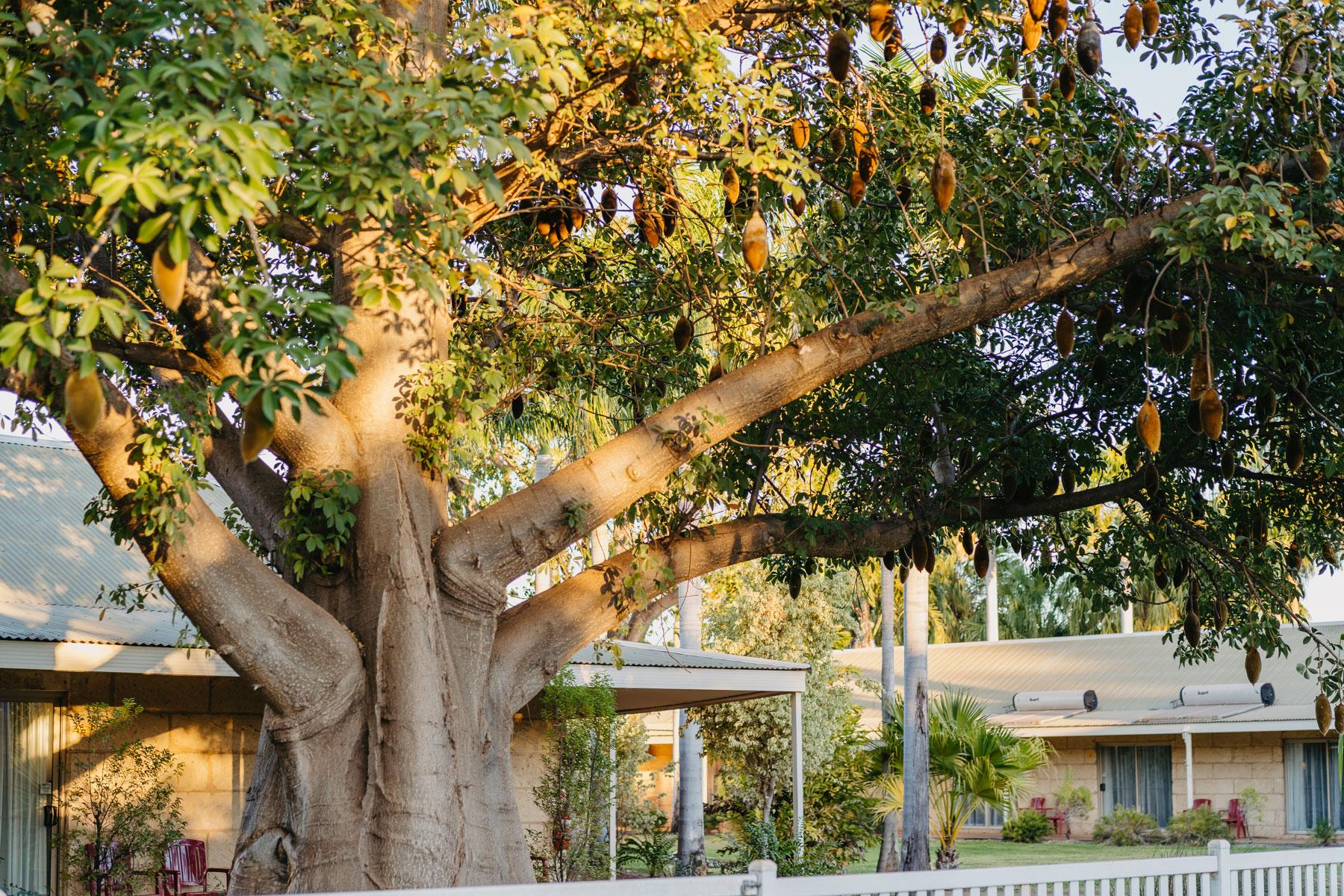 The Kimberley Grande Resort Kununurra Extérieur photo