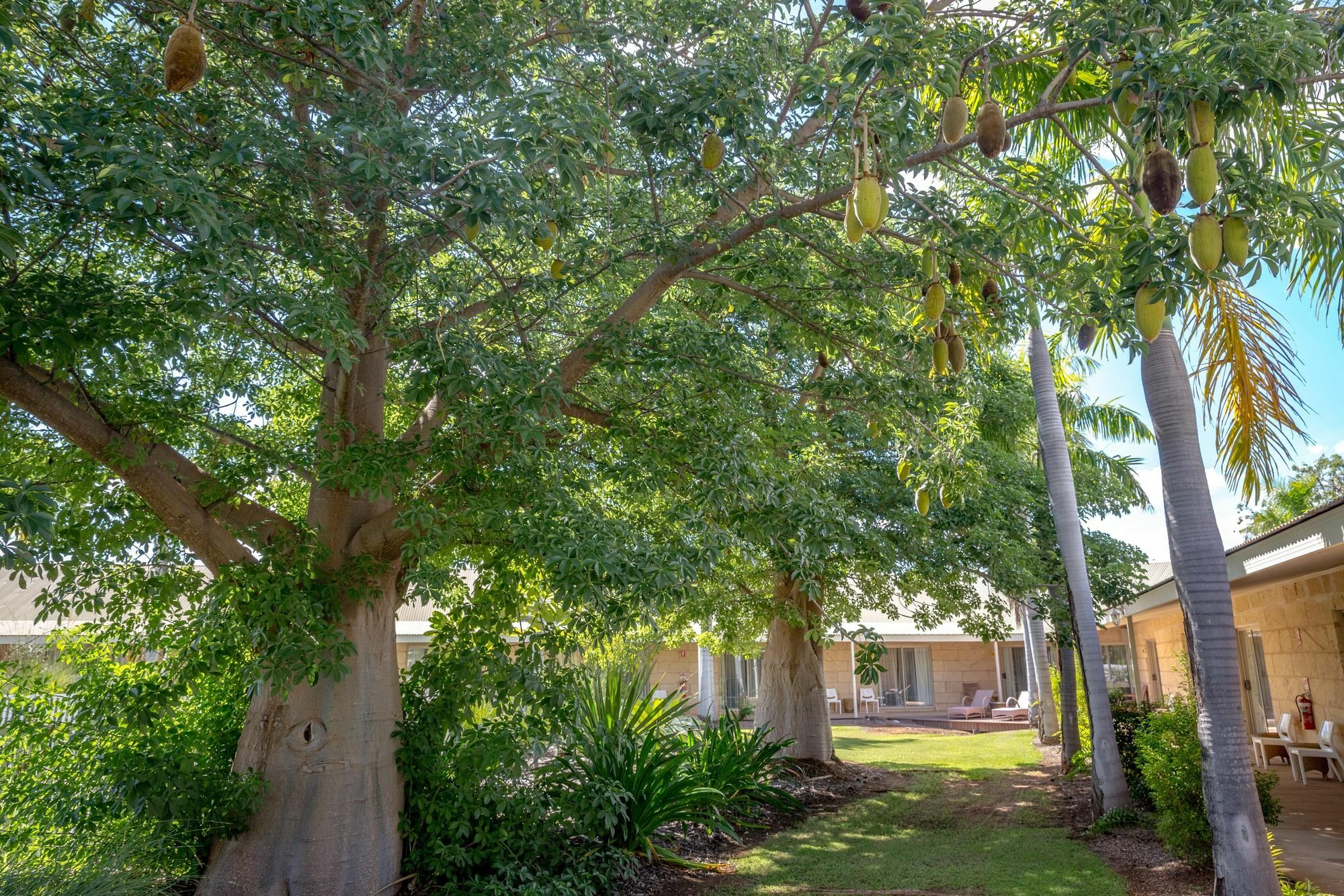The Kimberley Grande Resort Kununurra Extérieur photo